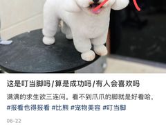 -久久宠物(河东万达店)