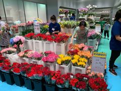 -盒马X会员店(上海森兰商都店)