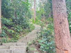 -水濂山森林公园