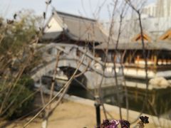 -南普公园