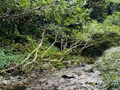 -万泉河漂流