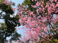 -南山植物园