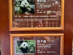 -成都大熊猫繁育研究基地