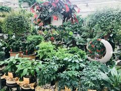 -秦美花卉(天朗·莱茵小城2期店)