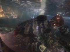 -银海大世界