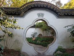 -秋霞圃