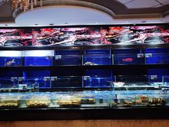 -粤珍轩.创始店.始于2001(含光门店)