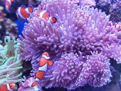 -多彩贵州城极地海洋世界