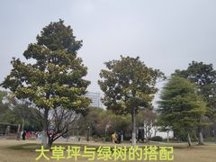 -颐景园