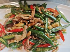 辣炒肚丝-毛草房(南辛庄街店)