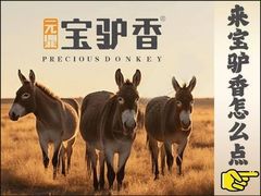 -元鼎宝驴香·全驴宴(江宁店)