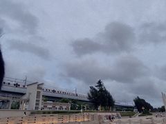 -宝安西湾红树林湿地公园