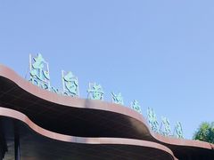 -黄海国家森林公园