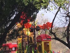 -白马涧龙池景区