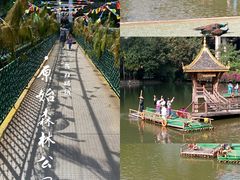 -西双版纳原始森林公园