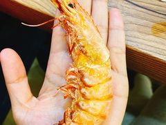 -红叶日料·放题·海胆·定食(星海店)