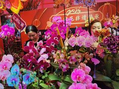 -越秀西湖花市(广州城市广场花卉店)
