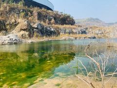 -黄埔油麻山森林公园
