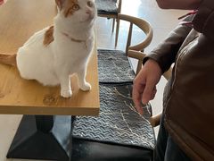 -平行世界·猫咖(首经贸店)