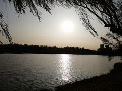 -塘沽森林公园