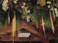 -一棵树·意大利西餐厅One Tree(新城店)