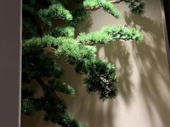 -轻语躺采·采耳·SPA(春熙路店)