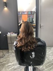 -藤野造型