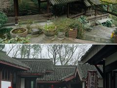 -中国茶叶博物馆(双峰馆区)
