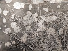 -辽宁古生物博物馆