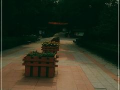 -高尔山公园