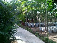 -天源吉布世温泉水乐园