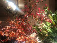 -春暖花开(西溪店)