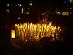 -华山御温泉度假村