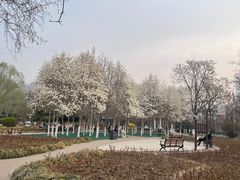 -睦南公园