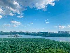 -大兴滨河森林公园
