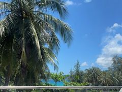 -锦里海景海鲜餐厅.三亚老字号(亚龙湾中心广场店)