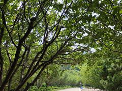 -石岛赤山风景区