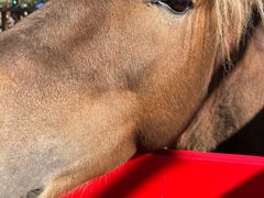 -北京鹿世界主题园