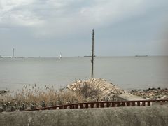 -上海滨江森林公园