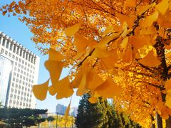 -东北大学(南湖校区)