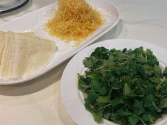 -丁老爷子苏香圆