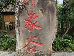 -野象谷景区