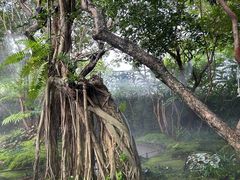 -Chom Cafe and Restaurant