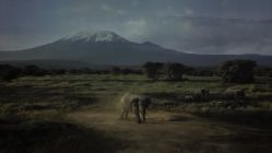 -翱翔飞越地平线