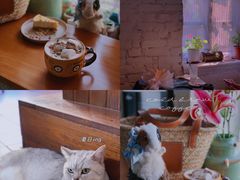 -不舍昼夜咖啡馆