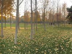 -石家庄市植物园