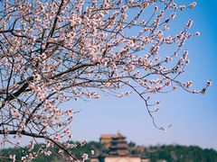 -颐和园