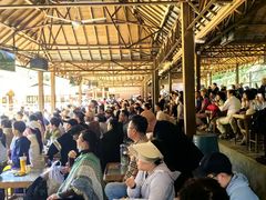 -野象谷景区