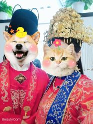 点击看大图 -美云庭古装·格格服汉服·京城旅拍(北京店)