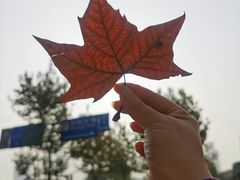 -哈根达斯(滨江店)